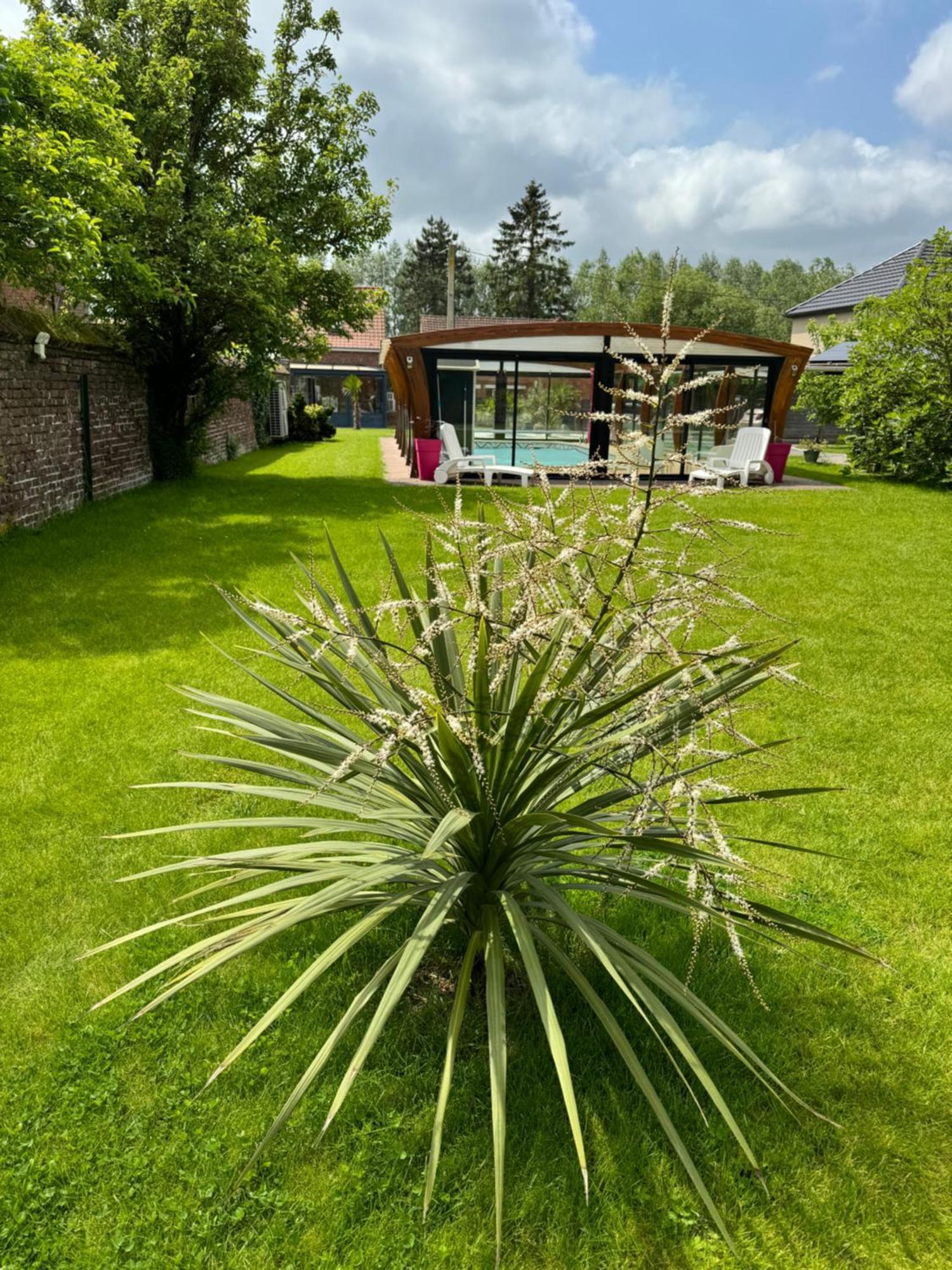 Gite Avec Piscine Lestrem エクステリア 写真