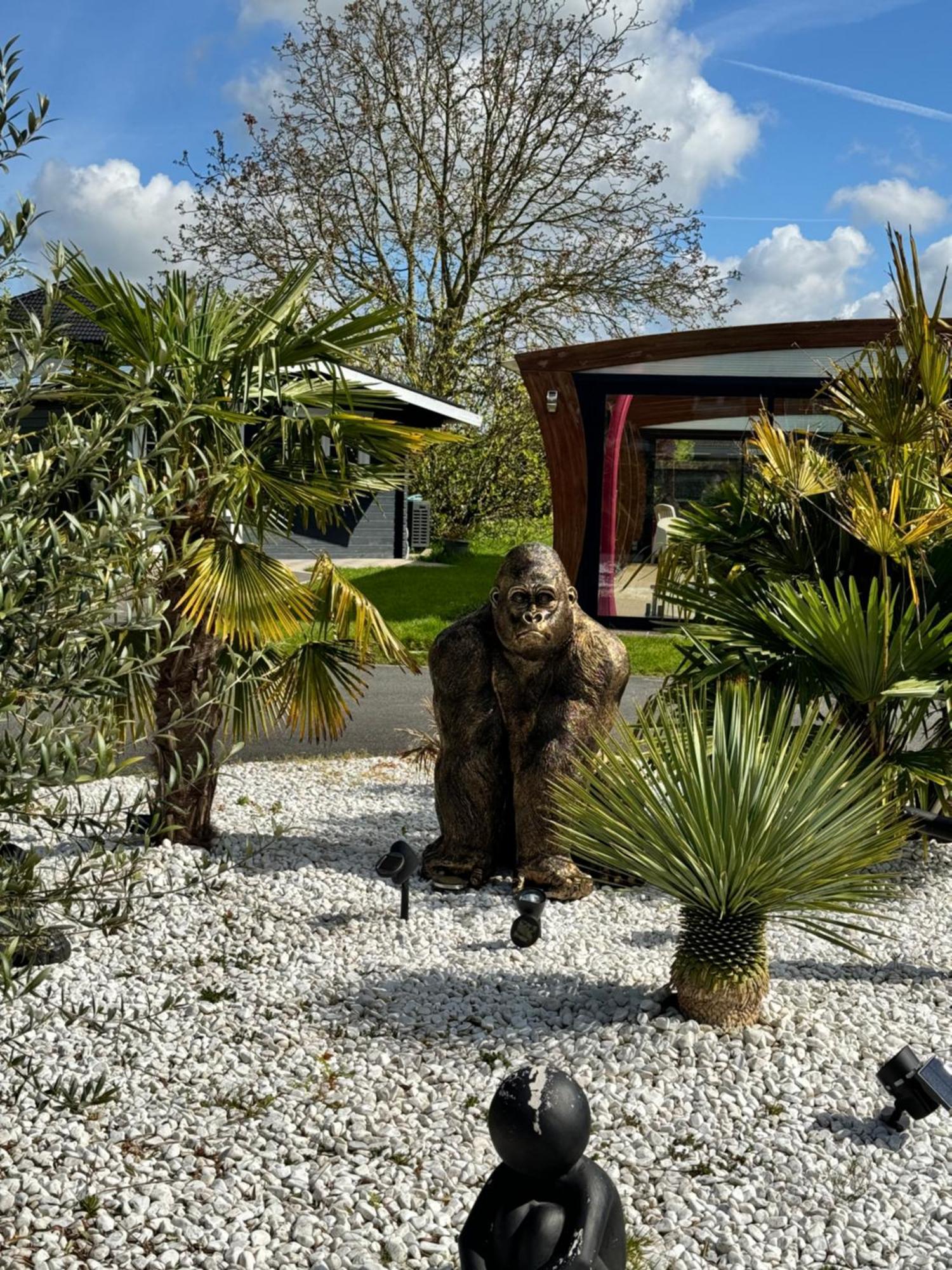 Gite Avec Piscine Lestrem エクステリア 写真